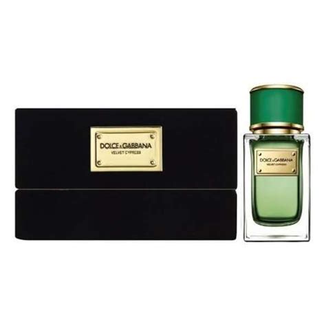 dolce and gabbana velvet cypress buy